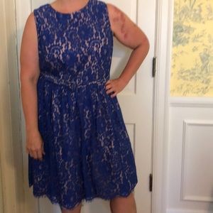 Eliza J royal blue lace party dress!